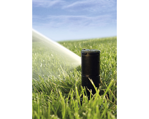 Professionele pop-up sproeier RainBird 42SA