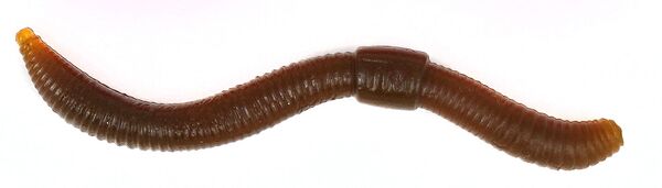 Ver imitation Trout Master Dendrobaena 8cm (15 pièces)