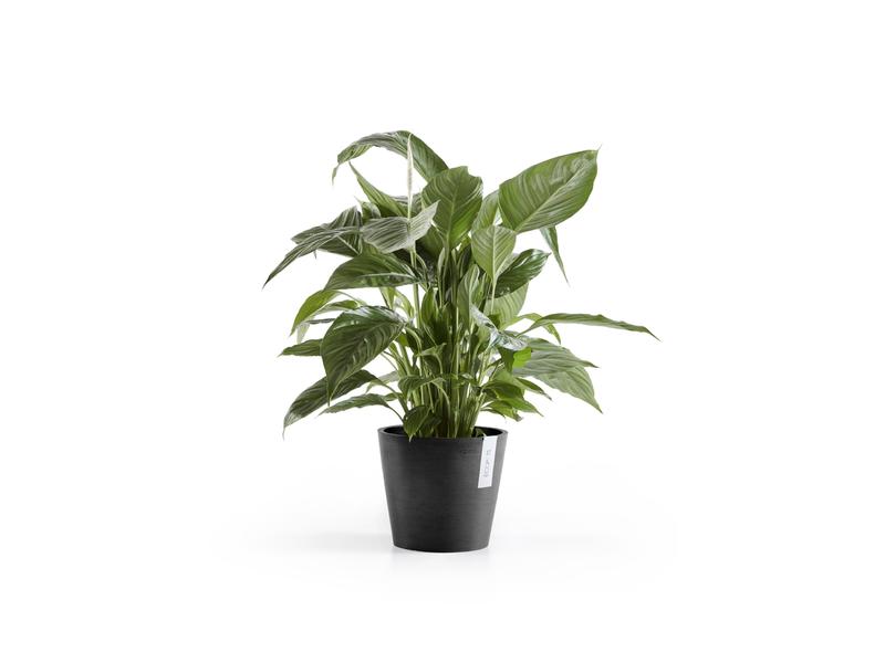 Ecopots Pflanzentopf Amsterdam 20, Dunkelgrau Robuster und langlebiger Blumentopf