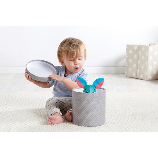 Wonder Buddies   Thomas le lapin        de               Tiny Love