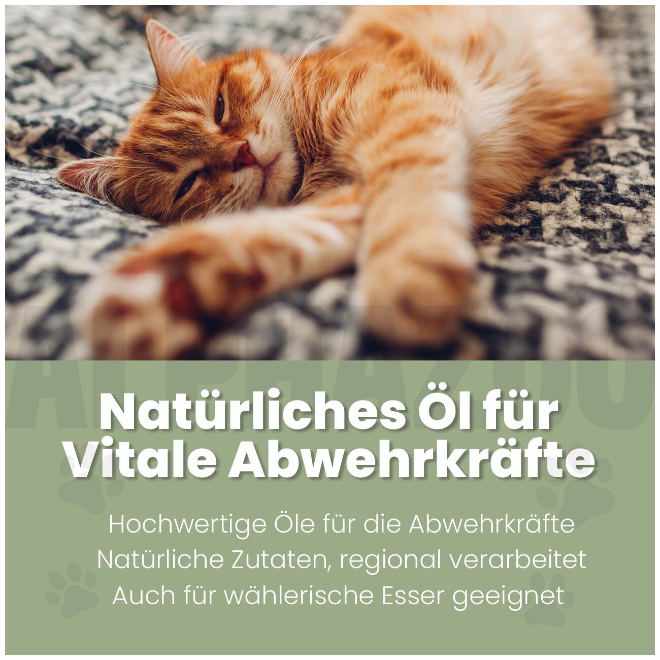 ALPHAZOO Alpha-Immun Futteröl für Katzen