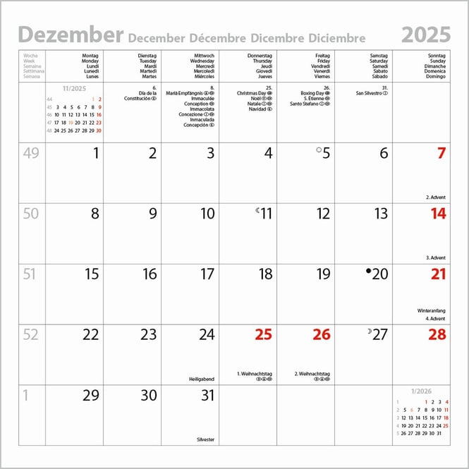 Wandkalender - 2025 - Big Cats