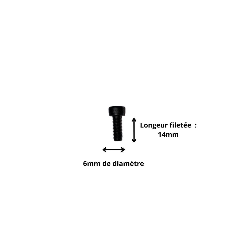 Vis M6x14 à Tête Cylindrique et Empreinte Allen (Pack de 10)