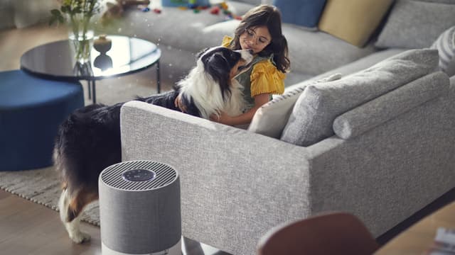 Philips Series 3000 luftrenserfilter FY343030