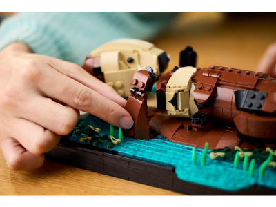 LEGO Drijvende zeeotters (21366)