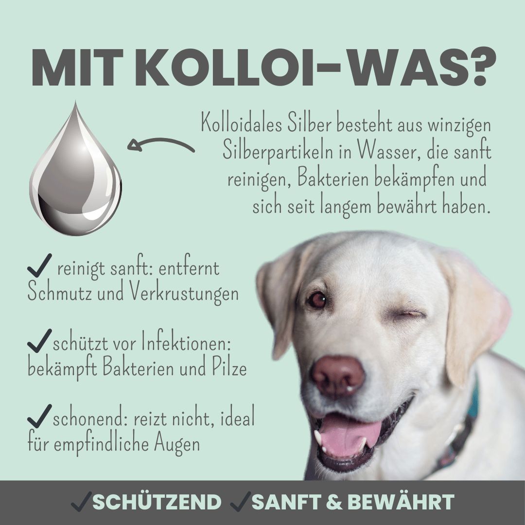 noms+ 2-in-1 Augenfein Reinigung & Pflege mit kolloiadlem Silber für Hunde & Katzen
