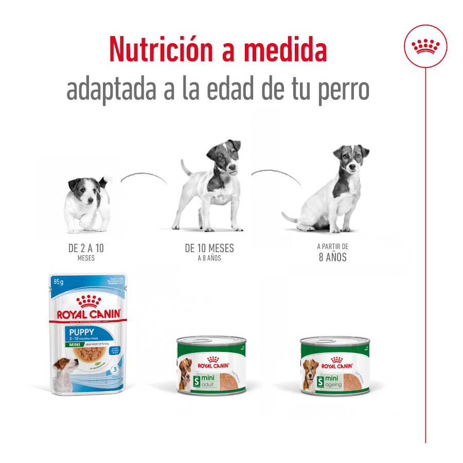 Patê Royal Canin Mini Adult em lata para cães
