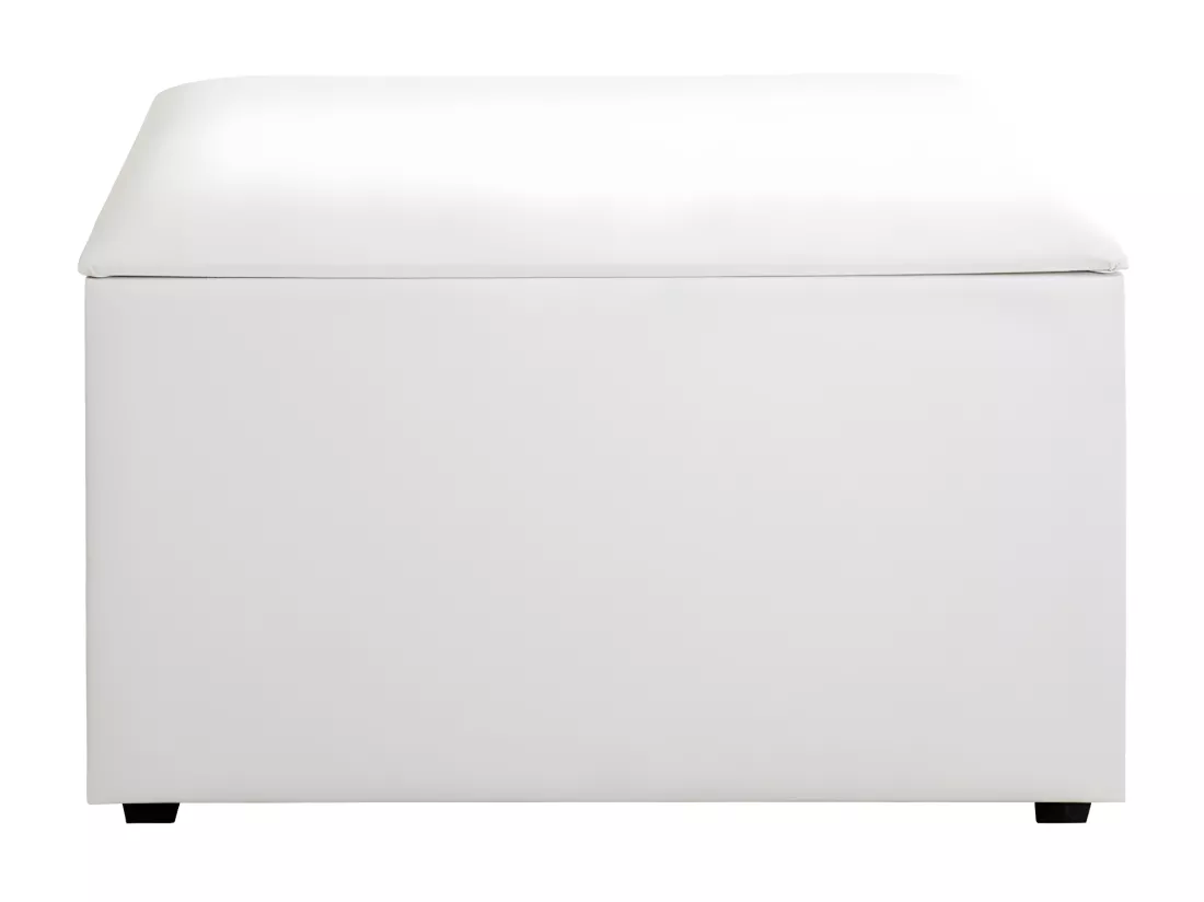Coffre de Rangement Design 