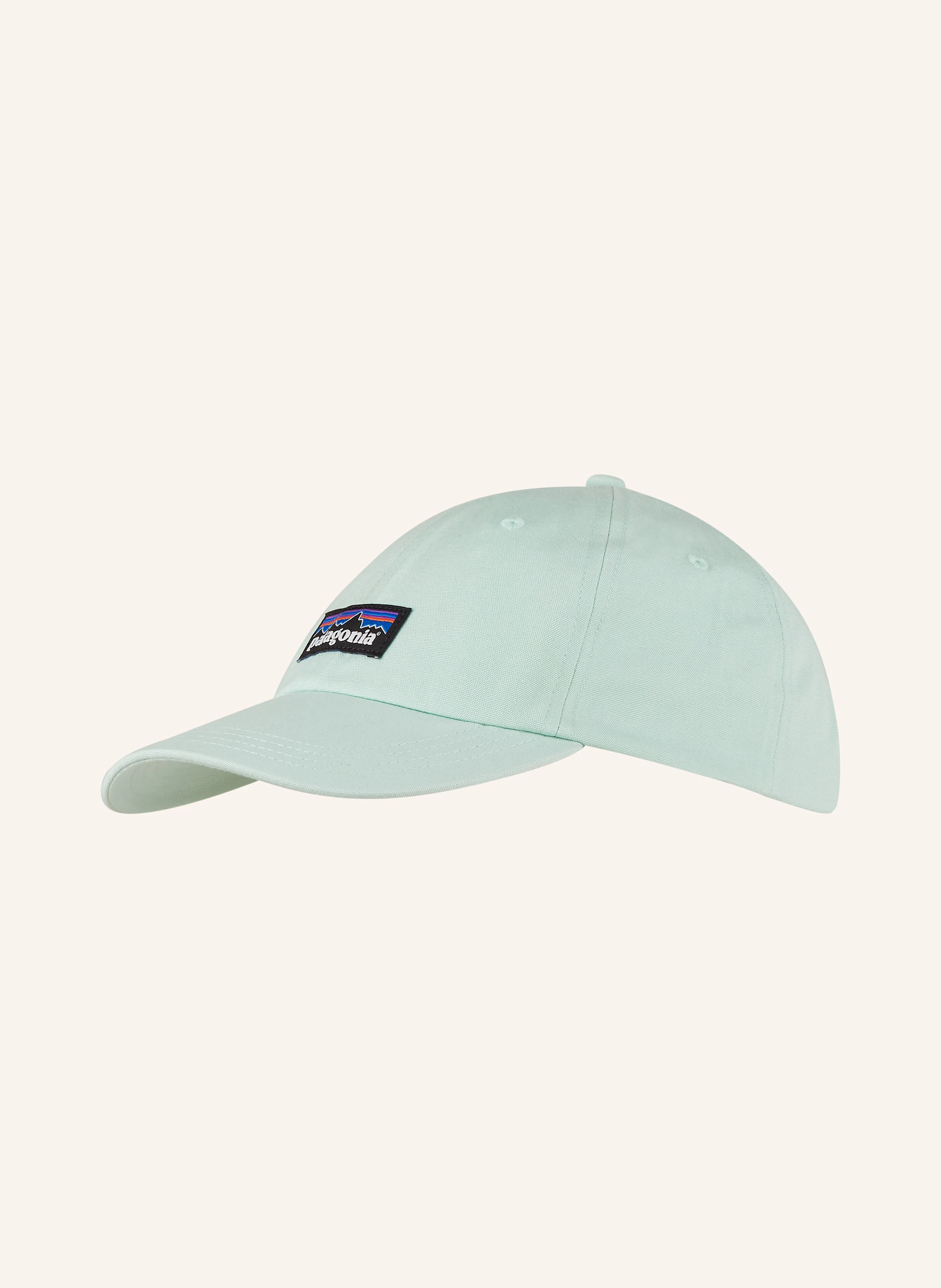 patagonia Cap P-6