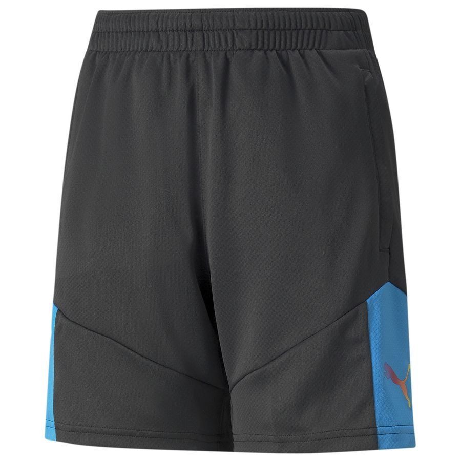PUMA Short d'Entraînement IndividualFINAL - Noir/Bleu Enfant