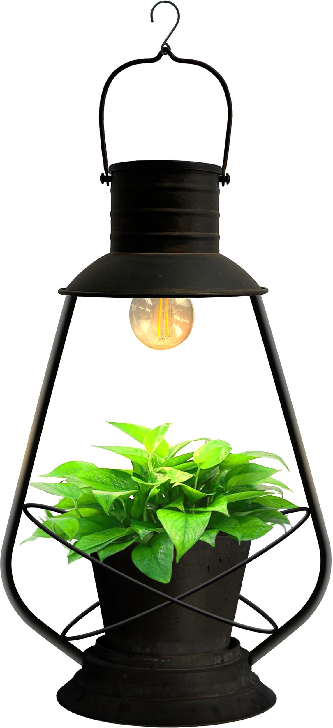 Intratuin LED solar hanglamp plant 22 x 16 x 37 cm