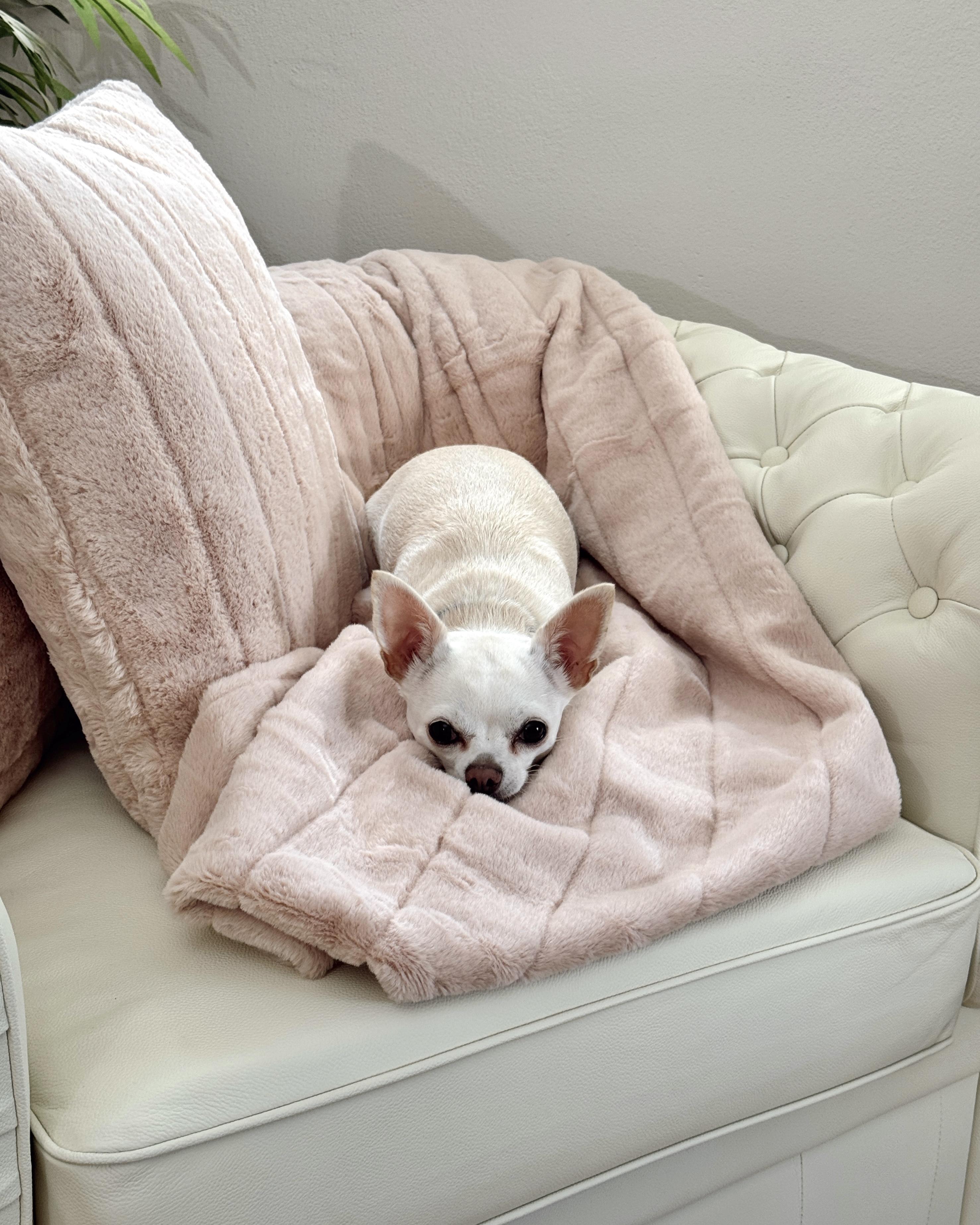 Fauteuil CHESTERFIELD Leer Lichtbeige