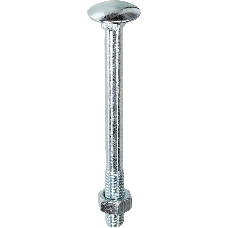 Slotbouten & moeren M10x65mm*