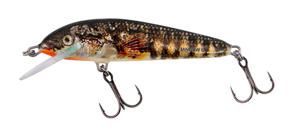 Salmo Minnow 6cm 4gr Floating 0,5-1m