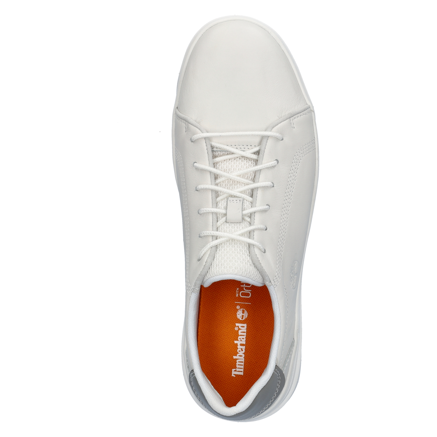 Seneca Bay heren sneaker Timberland Wit