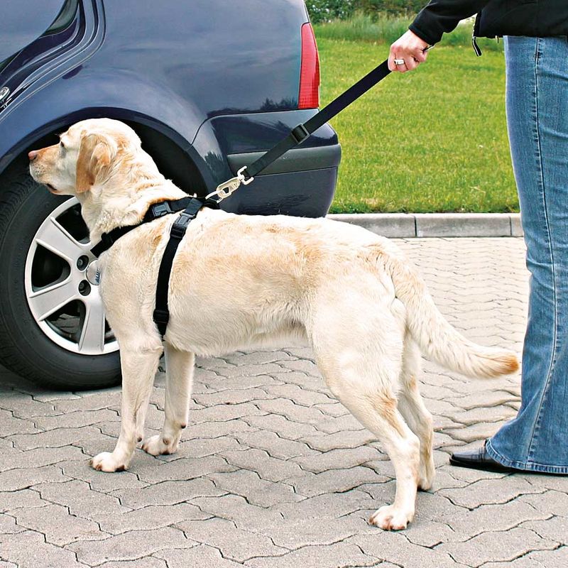 Harnais de sécurité Trixie pour chien