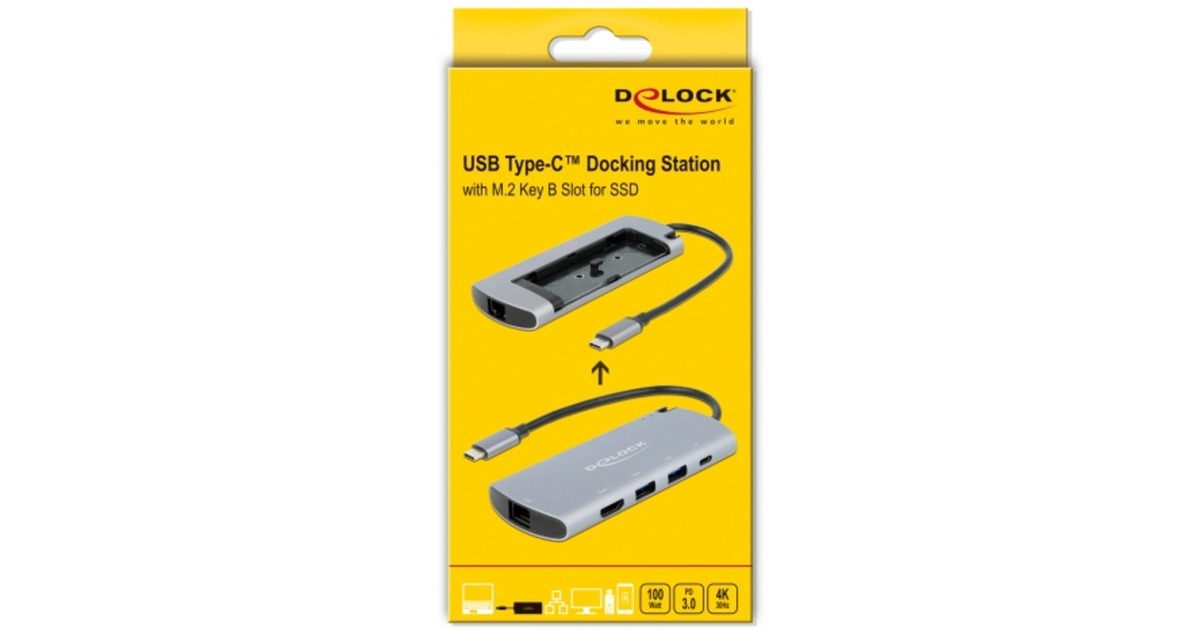 DeLOCKUSB Type-C Docking Station met M.2 Slot  (Grijs)