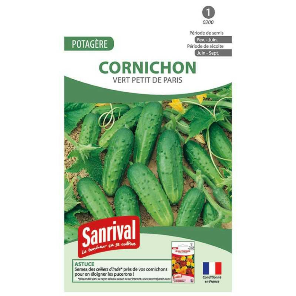 Graines cornichon