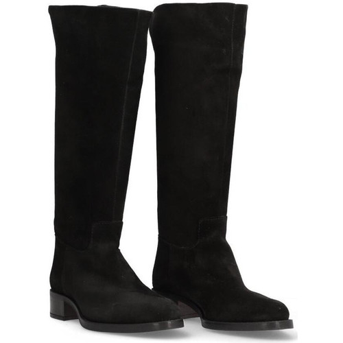 Alpe - 2636 Negro