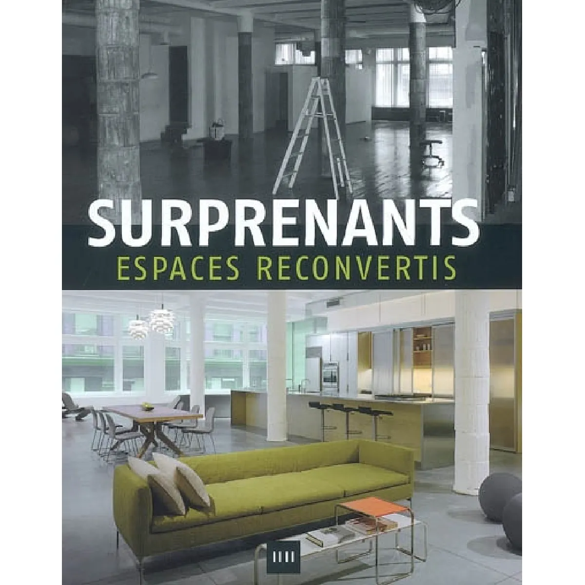 Surprenants espaces reconvertis · Occasion