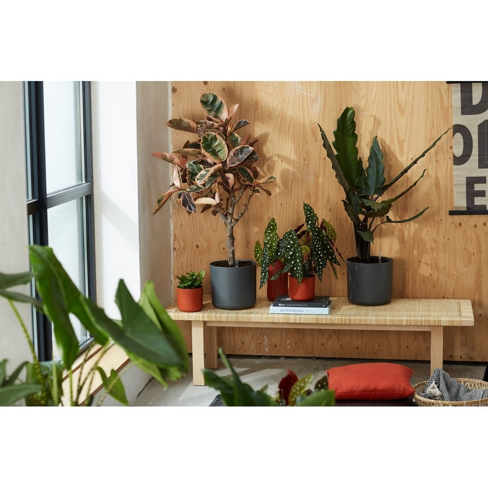 elho B.For Soft Bloempot Rond 35 cm