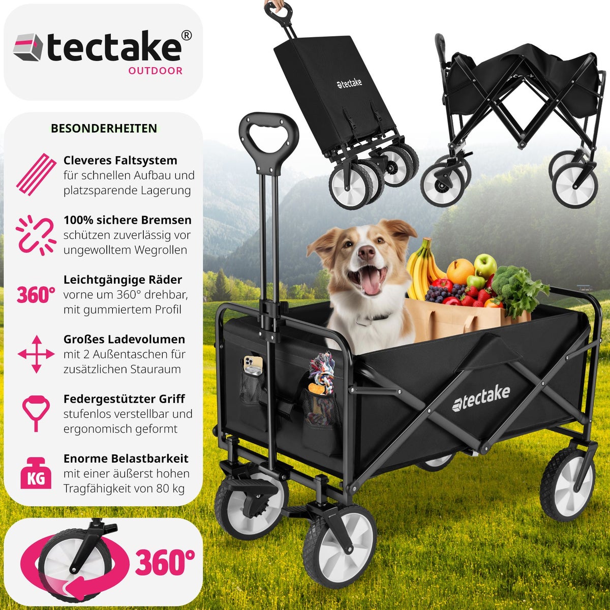 tectake Leon opvouwbare handkar inclusief draagtas, draagvermogen 80 kg