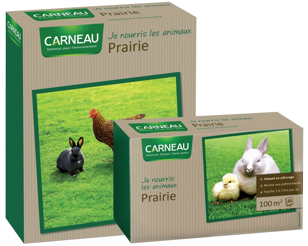 Gazon à semer prairie fourrage pâturage 2,5 kg / 250 m²