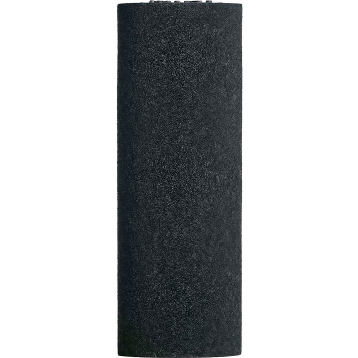 Blackroll BLACKROLL® Mini Faszienrolle schwarz