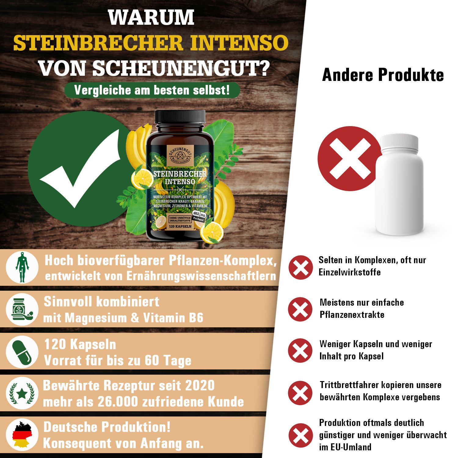 Scheunengut® Steinbrecher Intenso | Die Original Nierenstein-Formel aus der TCM | Chanca Piedra