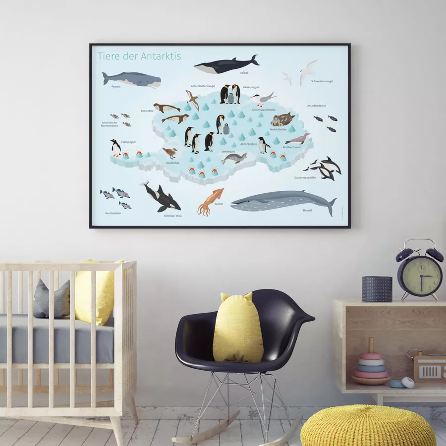 Nikima Poster Kinder Lernposter - Tiere der Antarktis - in 3 Größen bunt