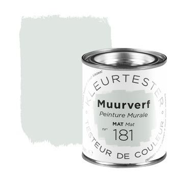 GAMMA Kleurtester muurverf nr. 181 Dublin mat 100ml