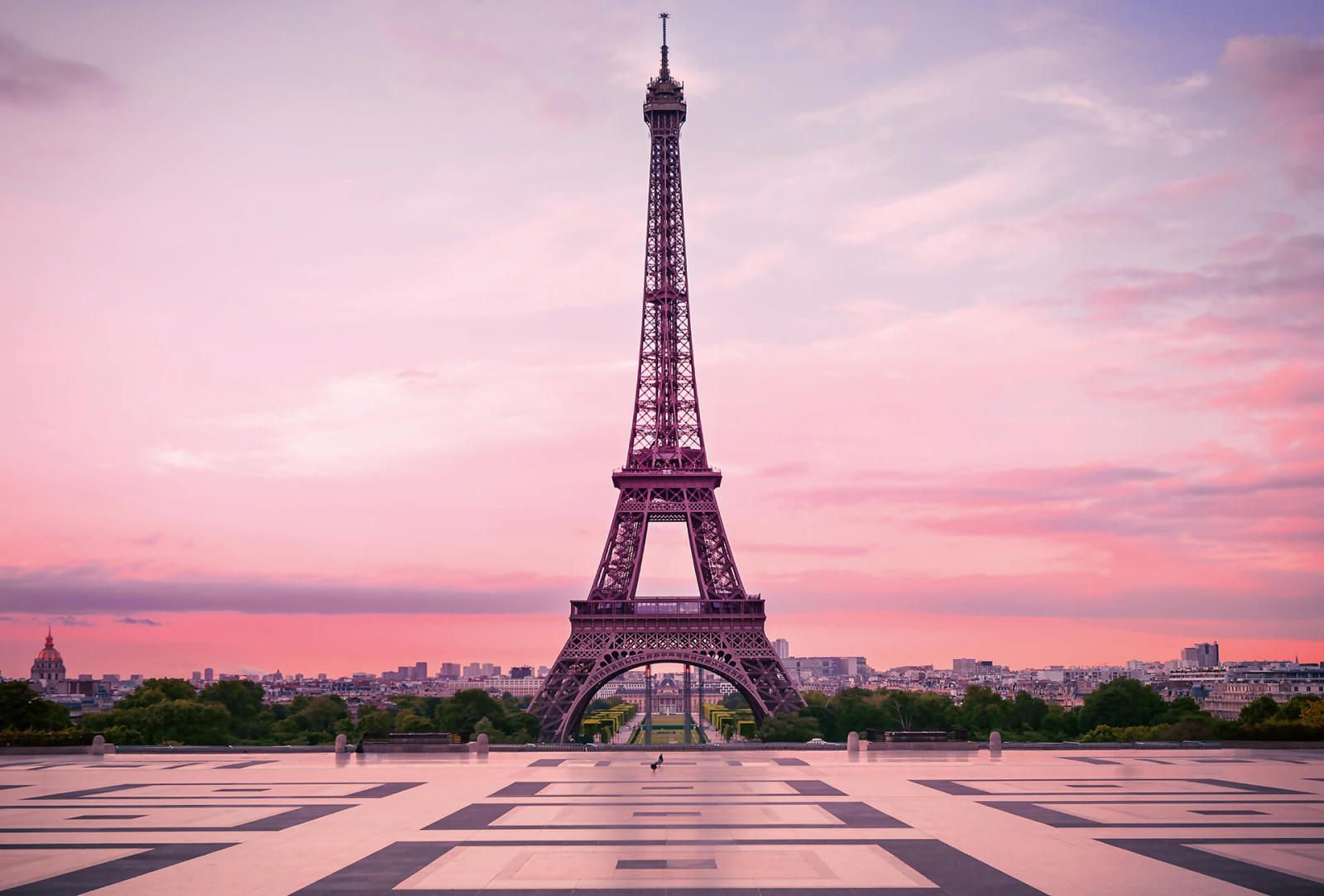 Fototapete DESIGNWALLS 2.0 - rosa-lila - Eiffelturm - 2,6 Meter