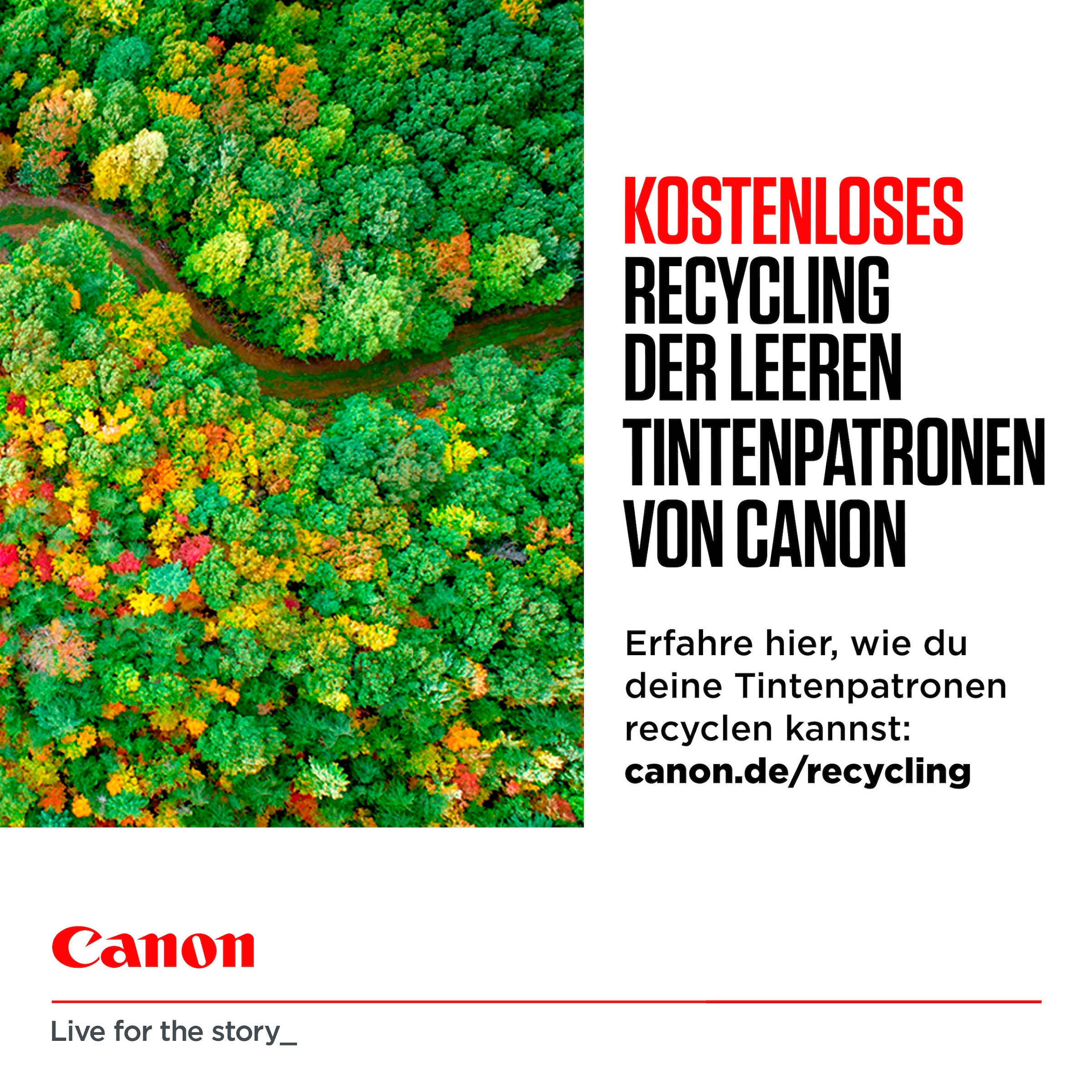 Canon Tintenpatrone »Canon CLI-581XXL BK/C/M/Y Tinte mit sehr hoher Reichweite Multipack«