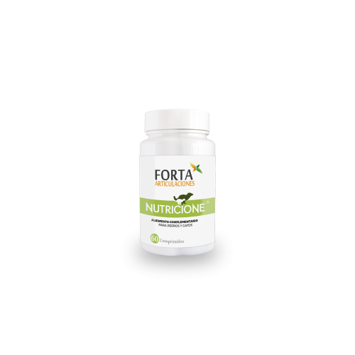 Nutrição para fortalecimento das articulações de cães e gatos.