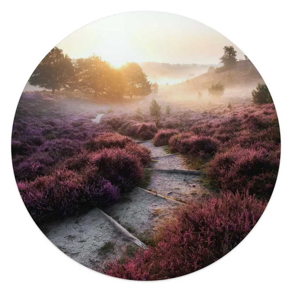 Glasschilderij Wandelpad langs de heide - Ø 50cm - Paars