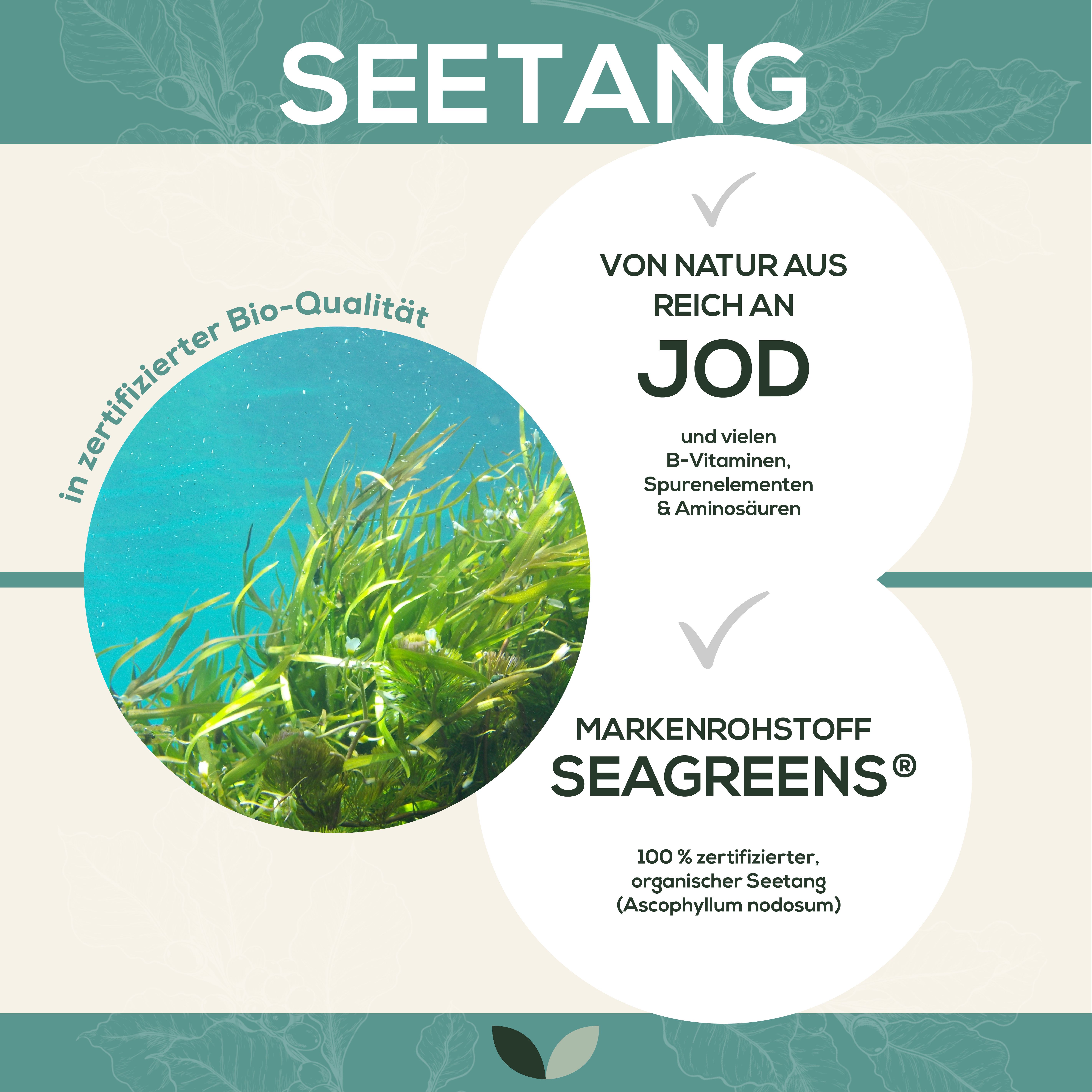 Sanutrition® - Seetang 500 mg (natürliches Jod)