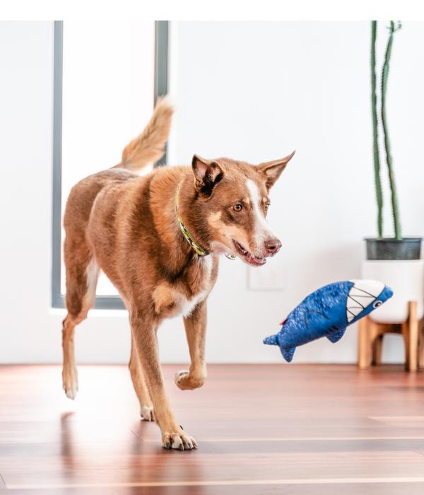 Red Dingo Hundespielzeug DURABLES Toys Hai