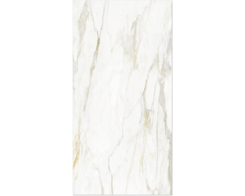 Douchewand Rock the Wall marmer Calacatta goud 265 x 123 cm 35151