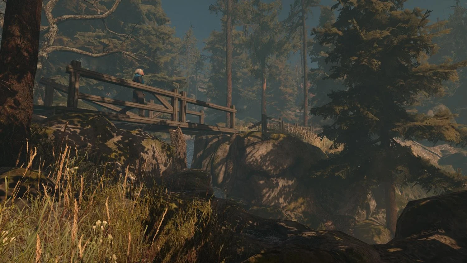 Through the Woods- PC