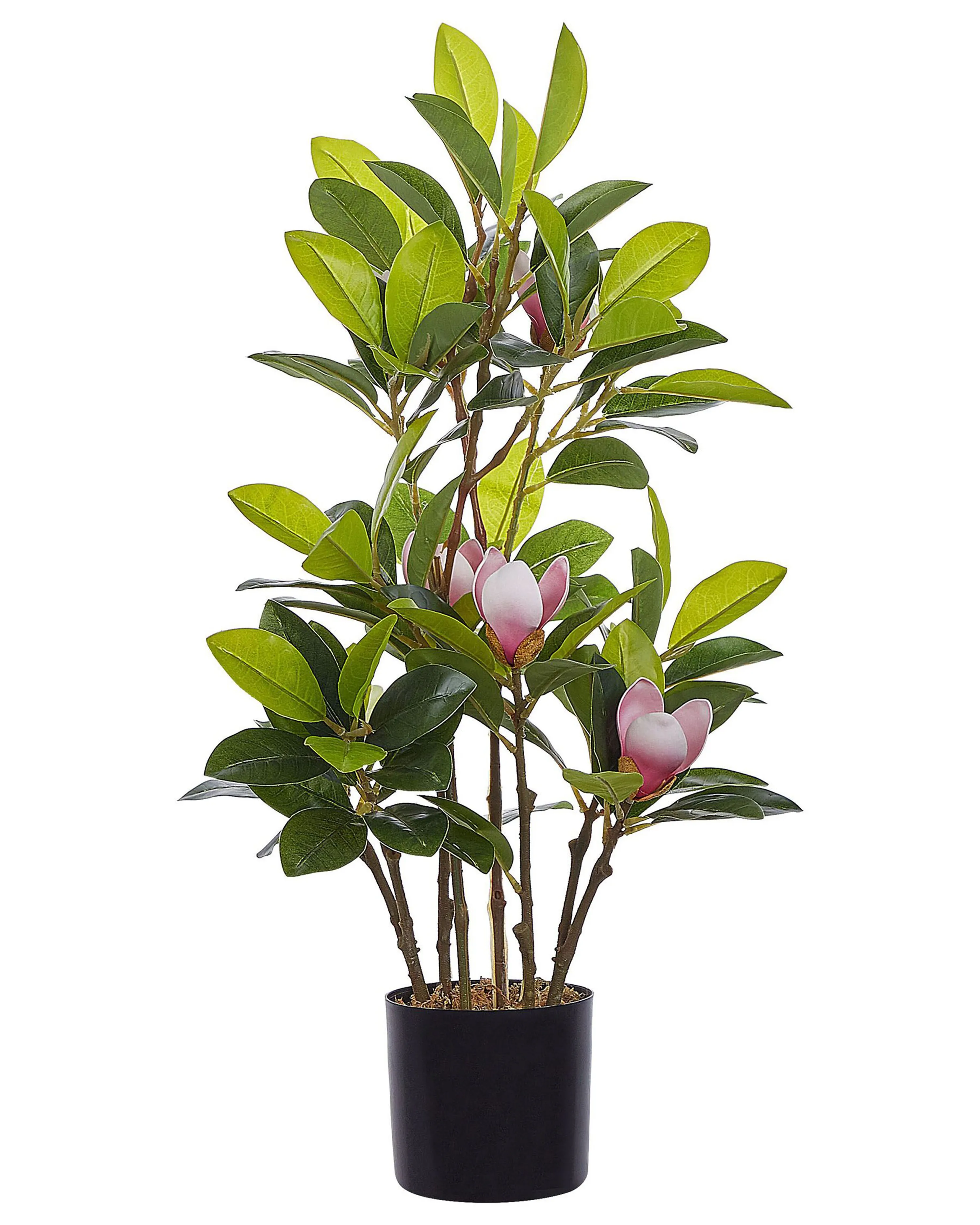 Kunstplant MAGNOLIA 70 cm Groen