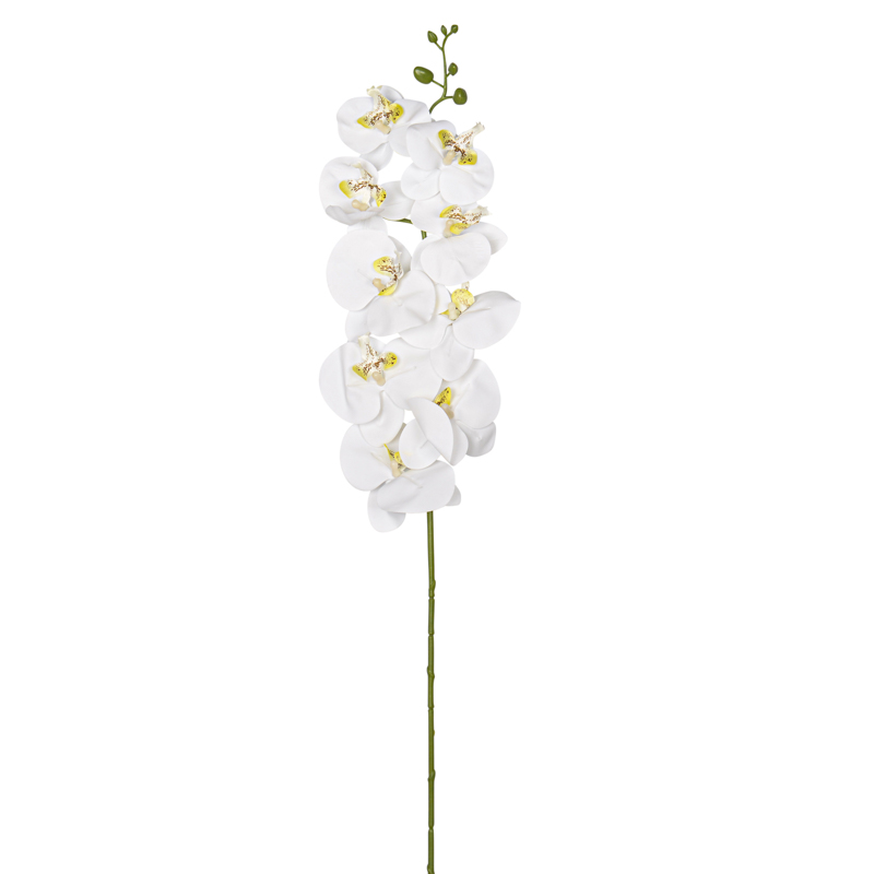 Tige d'orchidée 9 fleurs blanc