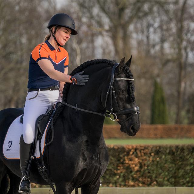 Polo KNHS Fan NL Dames Donkerblauw-oranje
