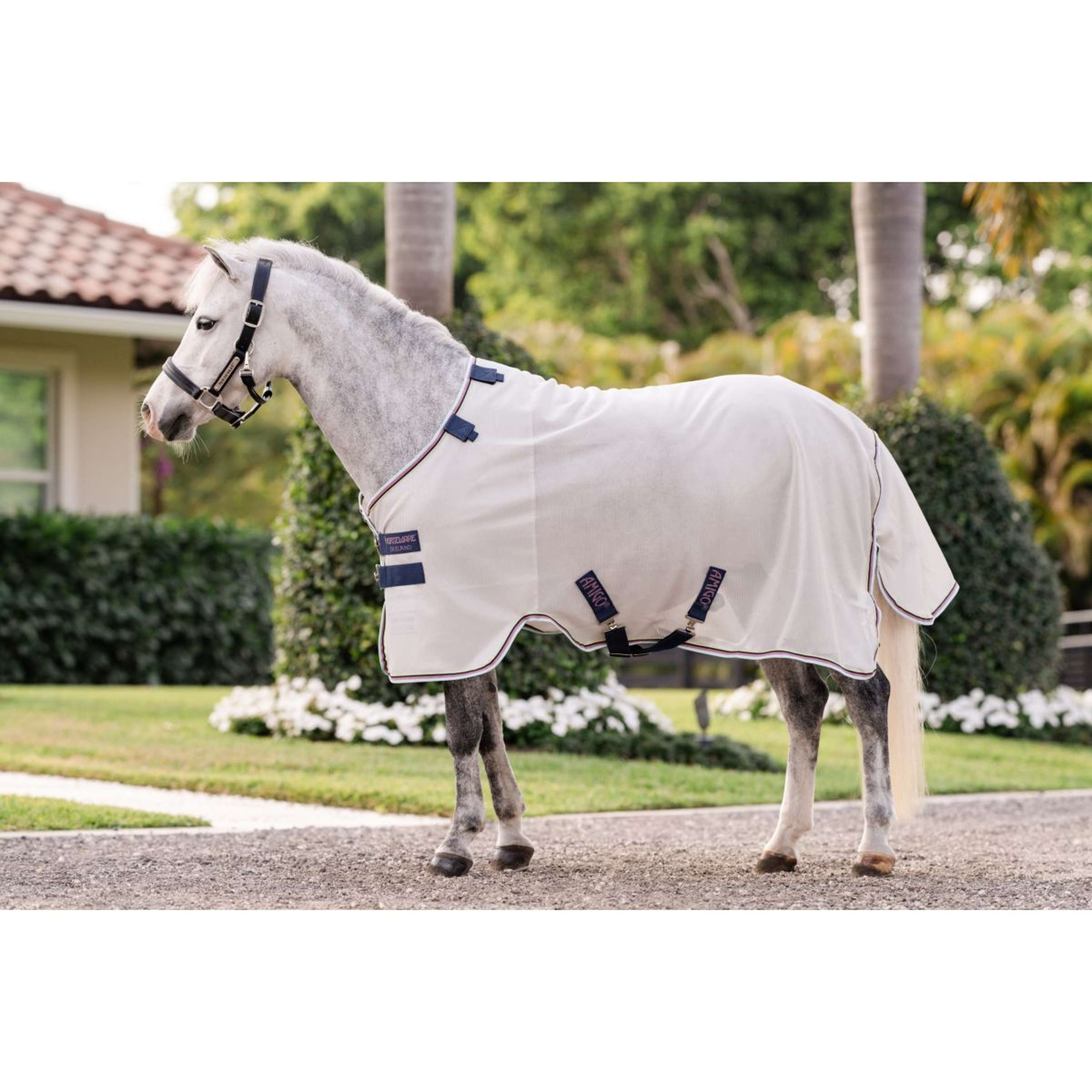 Amigo Bug Rug Pony Silver/Lime/Navy/Pink/Blue