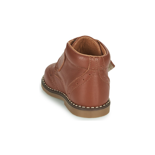 Citrouille et Compagnie - PROYAL - Camel