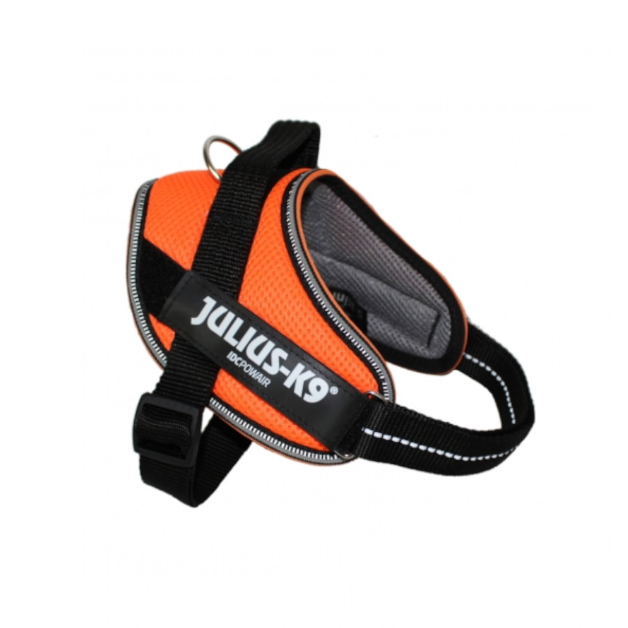 Coleira para cães Julius K-9 IDC Powair laranja