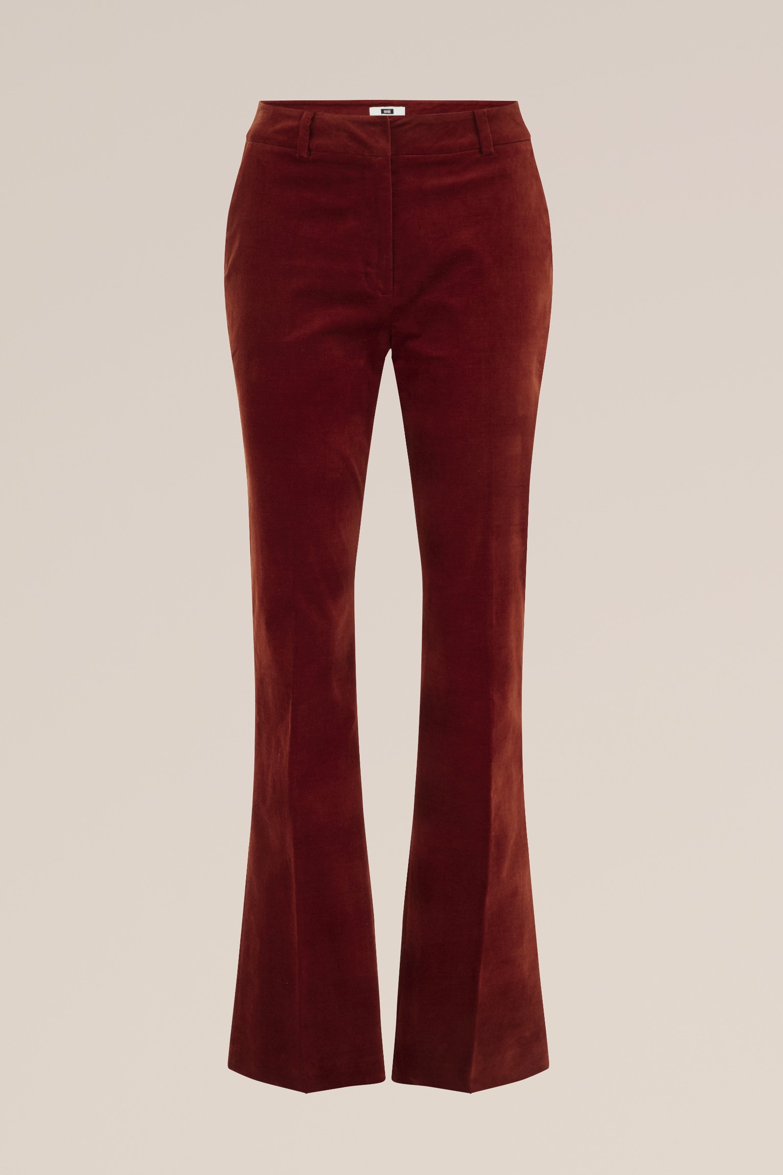 velvet flared pantalon WE Fashion Bruin