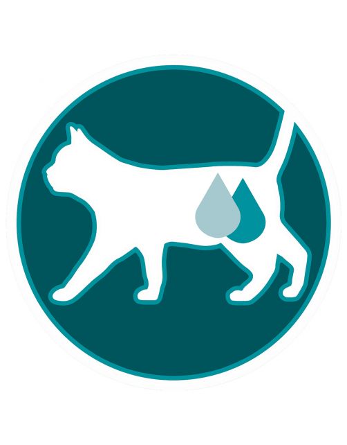 Purina One Adult Kip&Granen - Kattenvoer