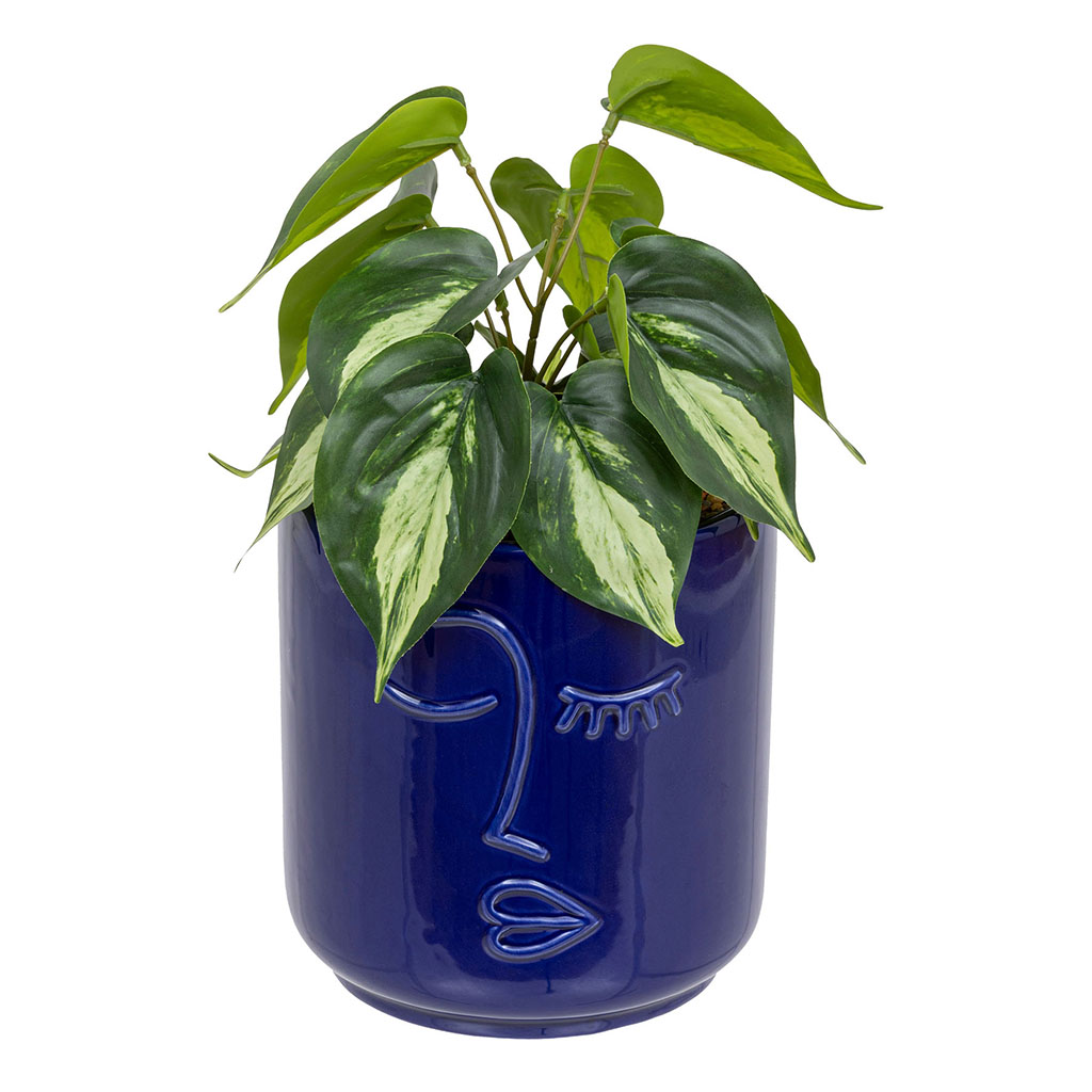 Plante SOLEYA visage céramique H30cm