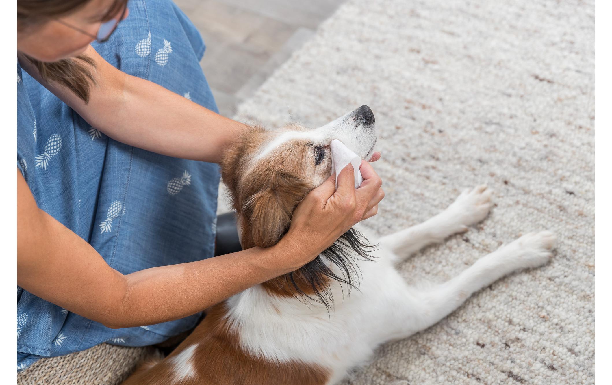Augenreiniger Tücher, 30 StückAugenpflege für Hunde, Katzen und andere Kleintiere