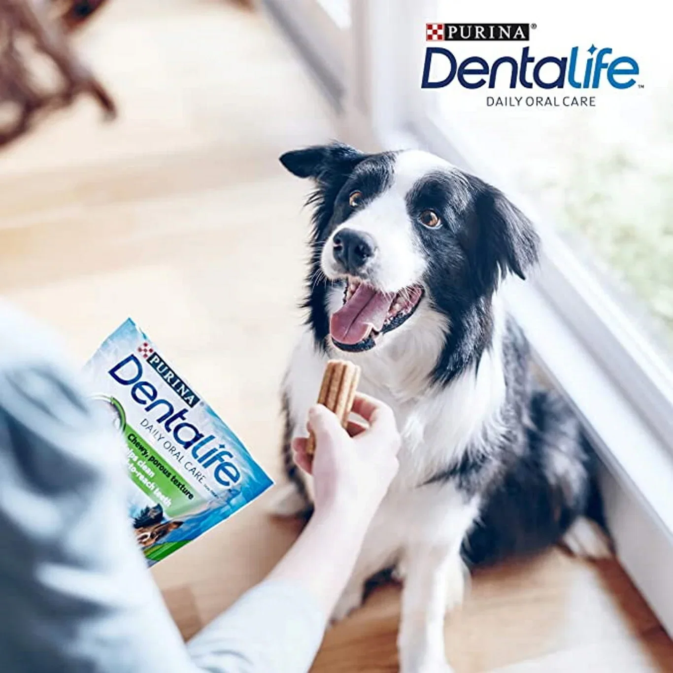Purina Tyggepinner Purina Dentalife M 24 pk